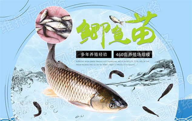 東莞市沙田鴻運(yùn)魚苗養(yǎng)殖場(chǎng)